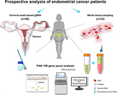 Feasibility and clinical applicability of genomic profiling based on cervical smear samples in patients with endometrial cancer